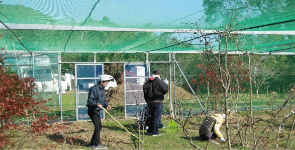 ブルーベリー園ネット